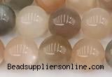 CMS2071 15 inches 8mm round moonstone gemstone beads