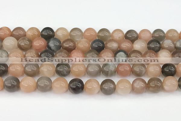 CMS2072 15 inches 10mm round moonstone gemstone beads