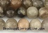 CMS2087 15 inches 8mm round moonstone gemstone beads