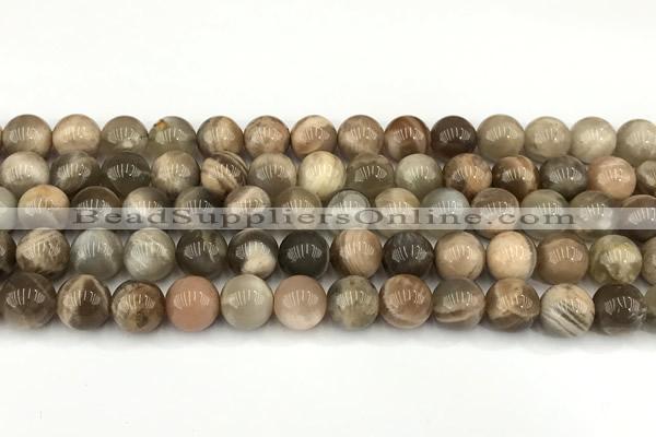 CMS2088 15 inches 10mm round moonstone gemstone beads