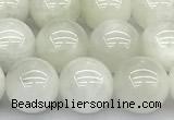 CMS2096 15 inches 8mm round white moonstone beads