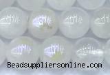 CMS2101 15 inches 8mm round AB-color moonstone beads