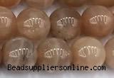 CMS2112 15 inches 9mm round moonstone beads