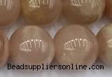 CMS2114 15 inches 11mm round moonstone beads