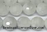 CMS2124 15 inches 8mm faceted rondelle white moonstone beads