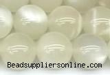 CMS2155 15 inches 10mm round white moonstone beads