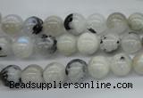 CMS216 15.5 inches 8mm round white moonstone gemstone beads