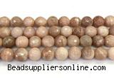 CMS2283 15 inches 12mm faceted round moonstone beads