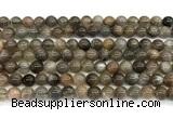 CMS2287 15 inches 6mm round grey moonstone beads wholesale