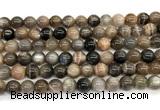 CMS2288 15 inches 8mm round grey moonstone beads wholesale