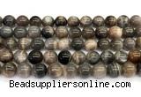 CMS2289 15 inches 10mm round grey moonstone beads wholesale