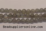 CMS300 15.5 inches 5mm round natural grey moonstone beads wholesale