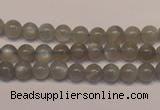 CMS302 15.5 inches 7mm round natural grey moonstone beads wholesale