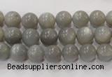 CMS304 15.5 inches 9mm round natural grey moonstone beads wholesale