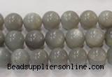 CMS305 15.5 inches 10mm round natural grey moonstone beads wholesale