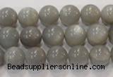 CMS306 15.5 inches 11mm round natural grey moonstone beads wholesale