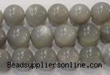 CMS307 15.5 inches 12mm round natural grey moonstone beads wholesale