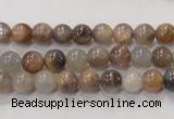 CMS310 15.5 inches 6mm round natural moonstone beads wholesale