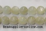 CMS312 15.5 inches 8mm round natural moonstone beads wholesale