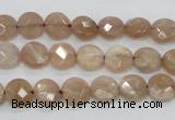 CMS43 15.5 inches 8mm faceted coin moonstone gemstone beads