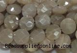 CMS44 15.5 inches 10mm faceted coin moonstone gemstone beads