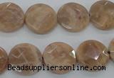 CMS47 15.5 inches 16mm faceted coin moonstone gemstone beads