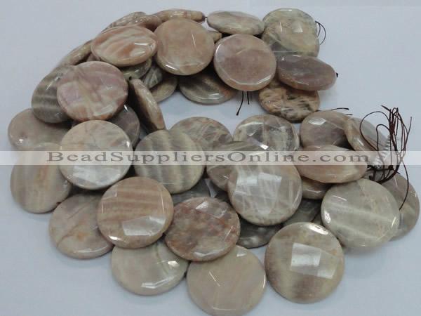 CMS49 15.5 inches 40mm faceted coin moonstone gemstone beads