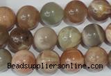 CMS505 15.5 inches 12mm round moonstone beads wholesale