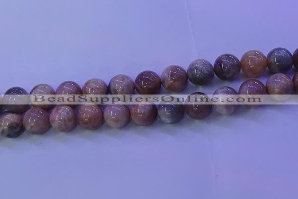 CMS507 15.5 inches 16mm round moonstone beads wholesale