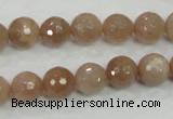 CMS60 15.5 inches 10mm faceted round moonstone gemstone beads