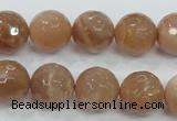 CMS62 15.5 inches 14mm faceted round moonstone gemstone beads