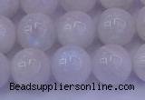 CMS644 15.5 inches 12mm round white moonstone beads wholesale