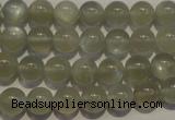 CMS652 15.5 inches 8mm round grey moonstone beads wholesale