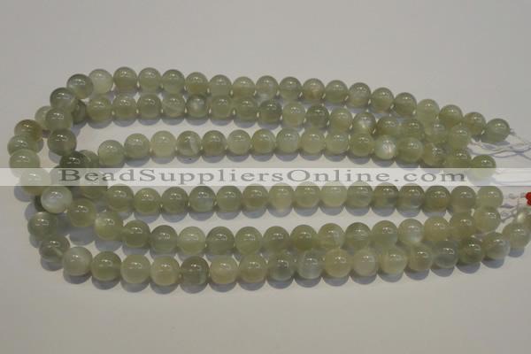 CMS653 15.5 inches 10mm round grey moonstone beads wholesale