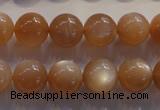 CMS734 15.5 inches 12mm round A grade natural peach moonstone beads