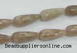 CMS74 15.5 inches 8*20mm faceted teardrop moonstone gemstone beads