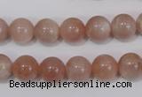 CMS754 15.5 inches 10mm round natural moonstone beads wholesale