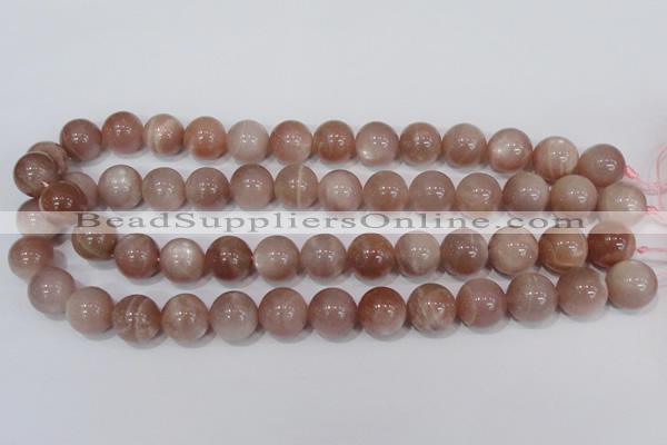 CMS756 15.5 inches 14mm round natural moonstone beads wholesale