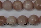 CMS757 15.5 inches 15mm round natural moonstone beads wholesale