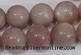 CMS759 15.5 inches 17mm round natural moonstone beads wholesale