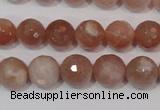 CMS765 15.5 inches 10mm faceted round natural moonstone beads