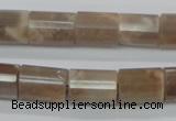 CMS77 15.5 inches 10*14mm faceted column moonstone gemstone beads