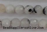 CMS801 15.5 inches 6mm faceted round white moonstone beads