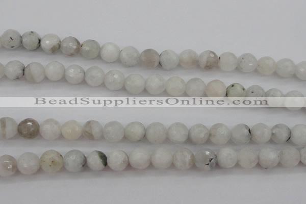 CMS802 15.5 inches 8mm faceted round white moonstone beads