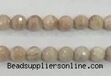 CMS83 15.5 inches 8mm faceted round moonstone gemstone beads