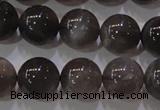 CMS853 15.5 inches 10mm round natural black moonstone beads