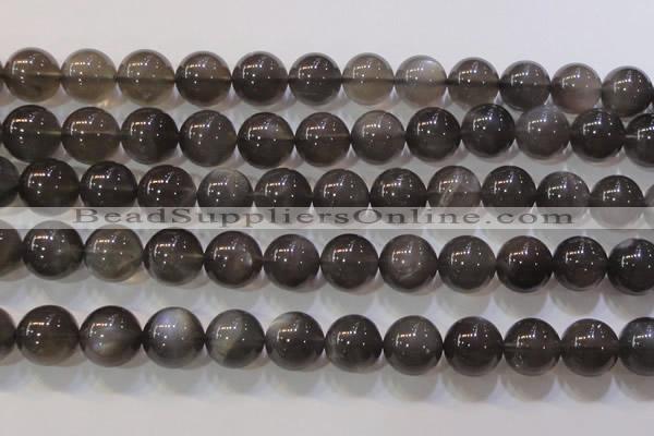 CMS861 15.5 inches 12mm round A grade natural black moonstone beads