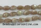 CMS87 15.5 inches 6*9mm faceted teardrop moonstone gemstone beads