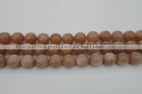 CMS935 15.5 inches 14mm round A grade moonstone gemstone beads