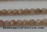 CMS940 15.5 inches 4mm faceted round A grade moonstone gemstone beads